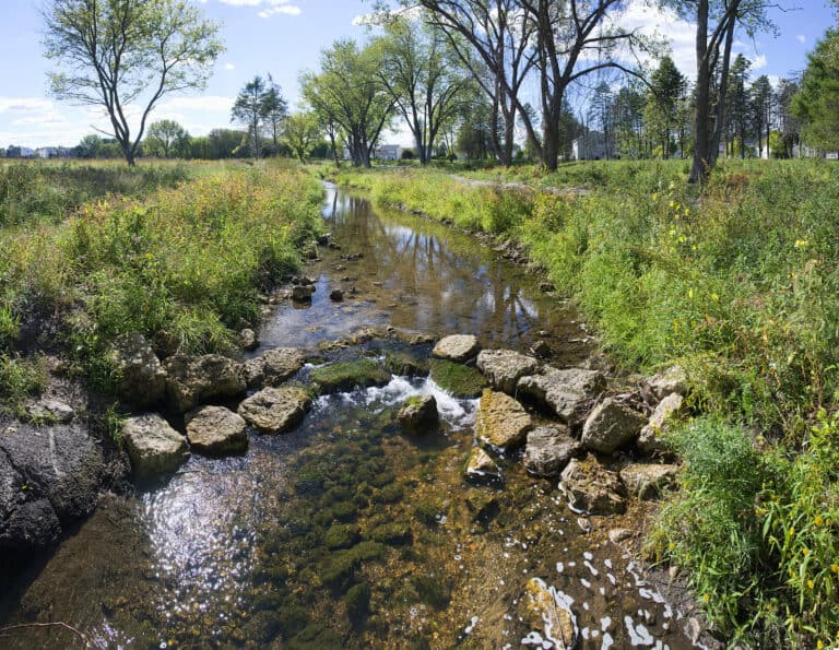 HRG-IL-LITH-WoodsCreekRestoration(48)