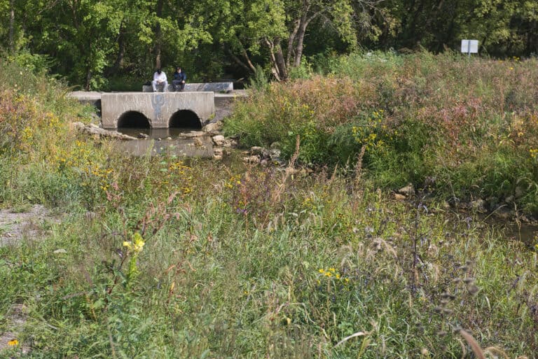 HRG-IL-LITH-WoodsCreekRestoration(54)