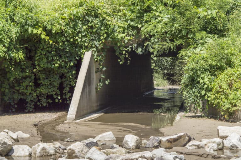 HRG-HRG-DryCreekFtMadison5936.jpg