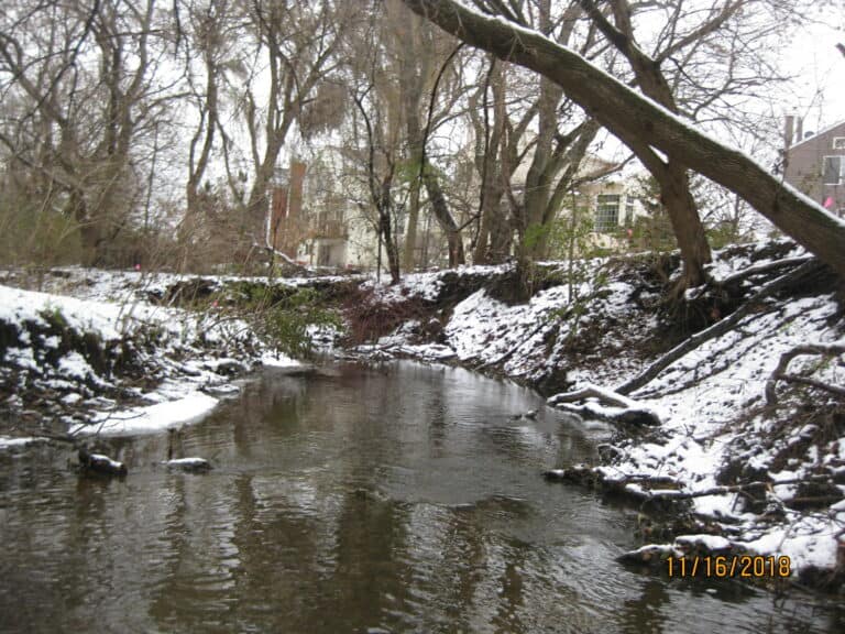 Woods Creek bank stabilization