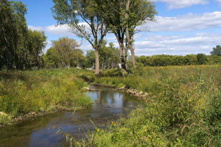 stabilizing material along banks