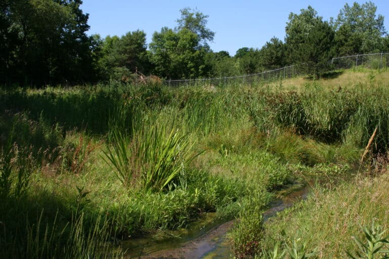 Mundelein Wastewater Treatment Plant - Wetland Mitigation - Mundelein, IL