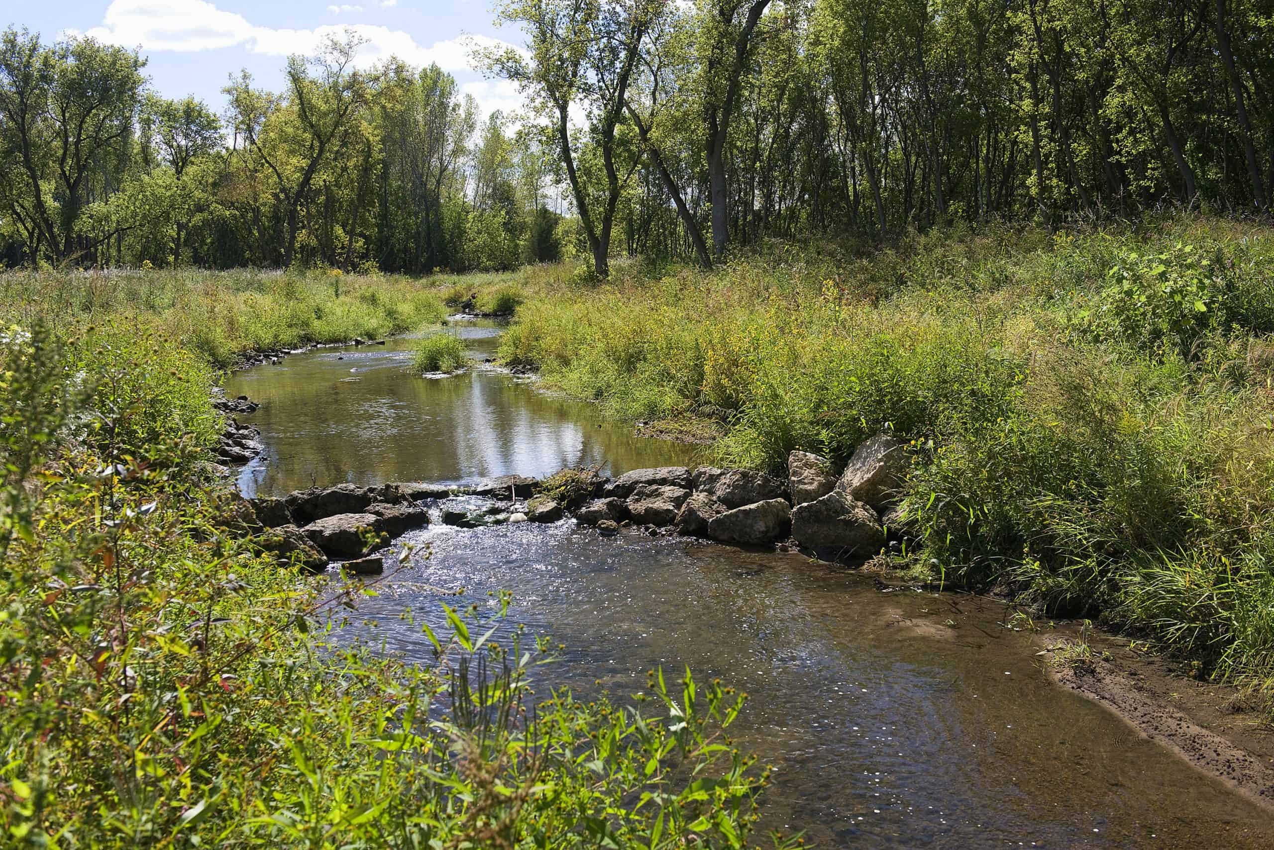 Completed Woods Creek Restoration