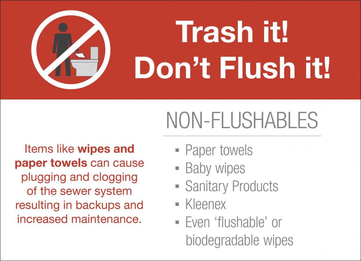 Trash it! Don’t Flush it!