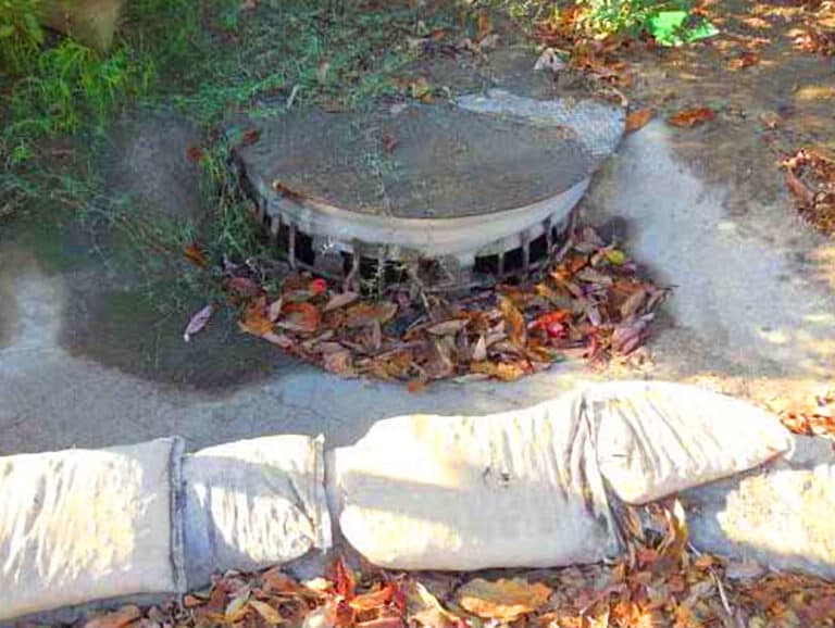 Inlet without leaves