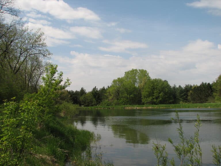 winding-creek-conservation-area-2
