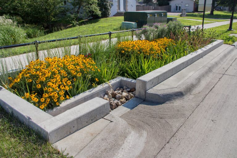 Green stormwater design approaches were incorporated into the 5th Street reconstruction project.