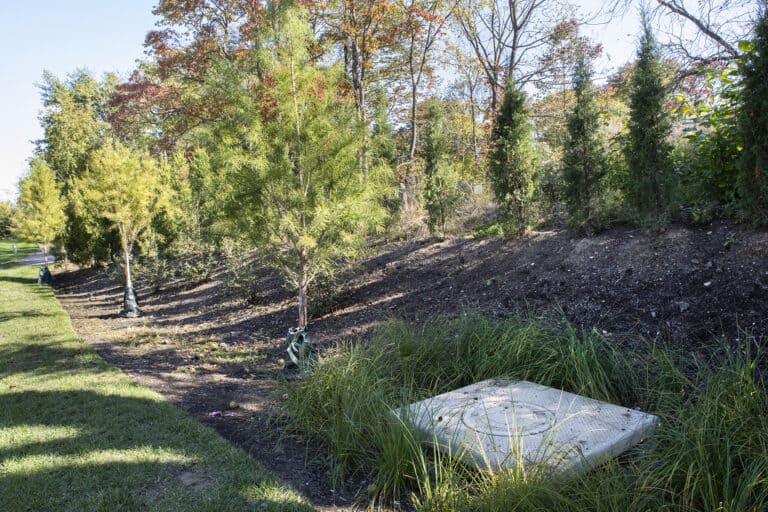 stormwater management program and design