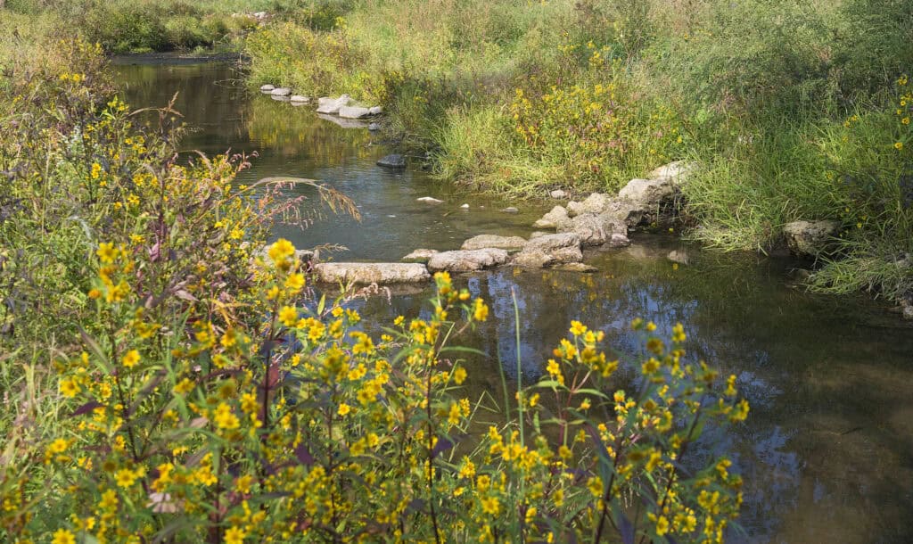 Civil Engineers promote biodiversity