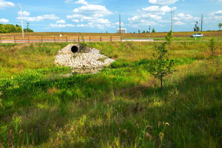 HRG-IL-Batavia-MahoneyBasin_05 edited