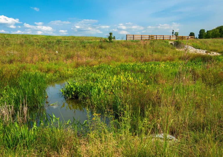 Mahoney Creek Tributary detention basin