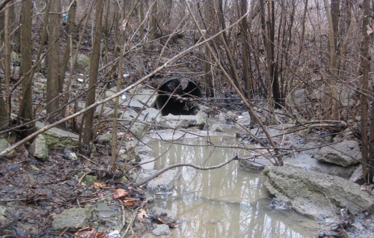 Food Processing Complex Stormwater Master Planning