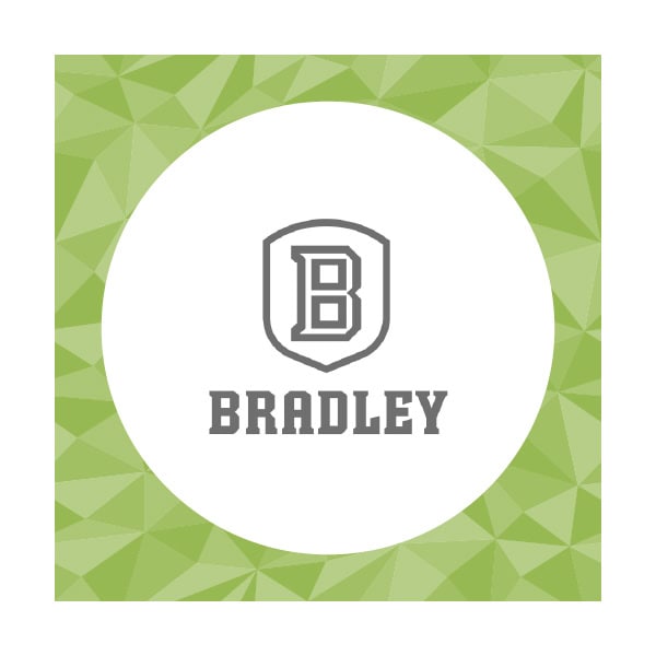 Bradley University Career Fair