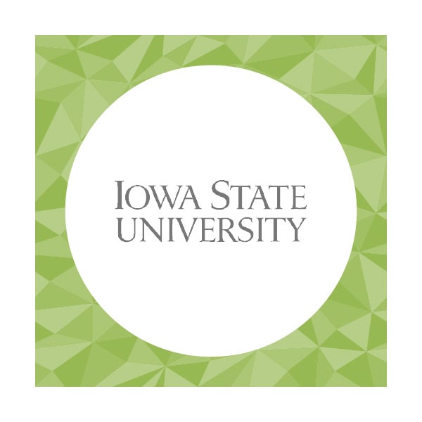 Iowa State Engineering Career Fair