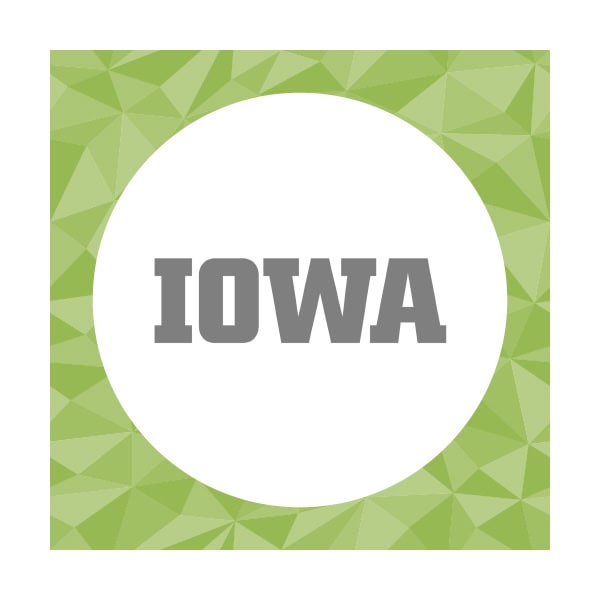 University of Iowa Engineering Career Fair